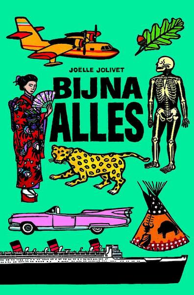Bijna alles - Joëlle Jolivet (ISBN 9789061697350)