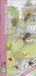 Spinnen in beeld - G.J. Roebers, Geert-Jan Roebers (ISBN 9789050112932)