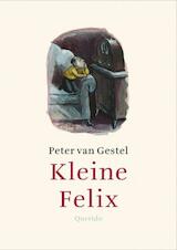 Kleine Felix (e-Book)