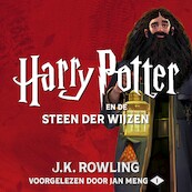 Harry Potter en Steen der Wijzen - J.K. Rowling (ISBN 9781781108031)