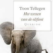Het wezen van de olifant - Toon Tellegen (ISBN 9789021412634)