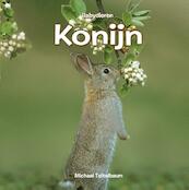 Konijn - Michael Teitelbaum (ISBN 9789055667734)