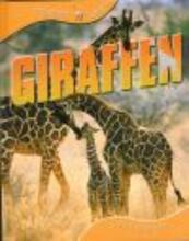 Giraffen - Sally Morgan (ISBN 9789054958581)