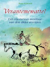 Verantemewatte? - Boaz Bijleveld (ISBN 9789081712071)