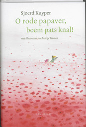 Robin en de vallende ster - Sjoerd Kuyper (ISBN 9789047703181)