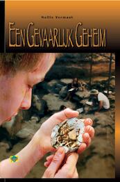 Een gevaarlijk geheim - Nellie Vermaat (ISBN 9789462785939)