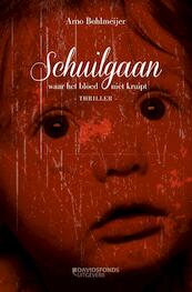 SCHUILGAAN - Arno Bohlmeijer (ISBN 9789059087033)