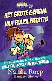 Het grote geheim van Plaza Patatta - Nanda Roep (ISBN 9789490983215)
