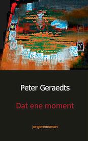 Dat ene moment - Peter Geraedts (ISBN 9789461932174)