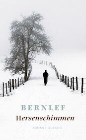 Hersenschimmen - Bernlef (ISBN 9789021440132)