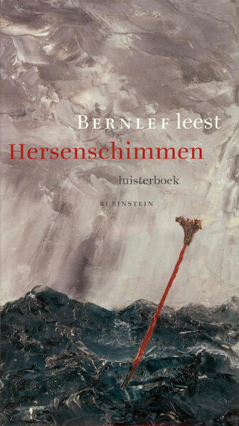 Hersenschimmen - Bernlef (ISBN 9789047614715)