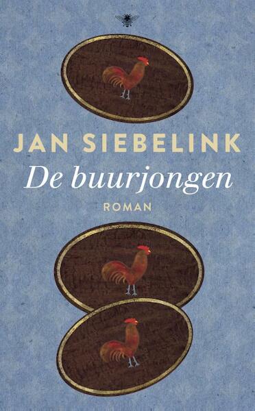 De buurjongen - Jan Siebelink (ISBN 9789023468301)