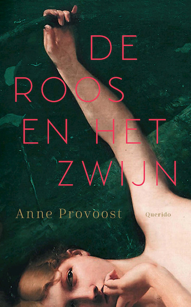 De Roos en het Zwijn - Anne Provoost (ISBN 9789045129464)