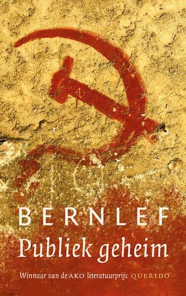 Publiek geheim - Bernlef (ISBN 9789021443546)