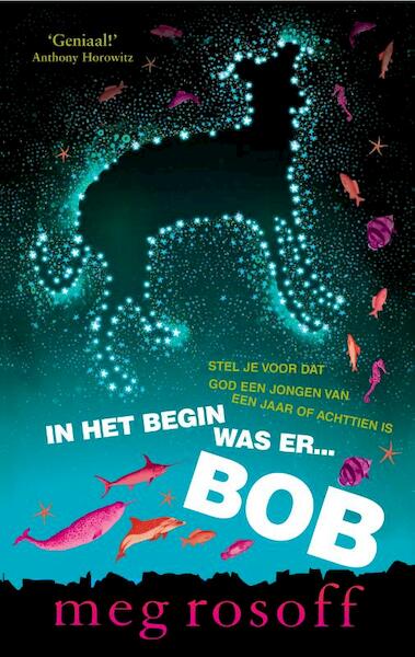 In het begin was er Bob - Meg Rosoff (ISBN 9789048811588)