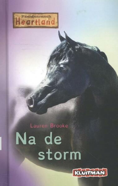 Na de storm - Dyslexie uitgave - Lauren Brooke (ISBN 9789020694796)