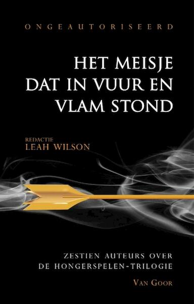 Het meisje dat in vuur en vlam stond - Leah Wilson (ISBN 9789000316403)