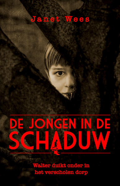 De jongen in de schaduw - Janet Wees (ISBN 9789026622670)