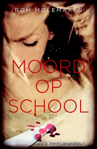 Moord op school - Rom Molemaker (ISBN 9789025113001)