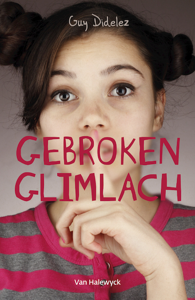 Gebroken glimlach - Guy Didelez (ISBN 9789461318558)
