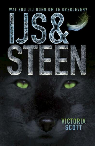 IJs en steen - Victoria Scott (ISBN 9789025868345)