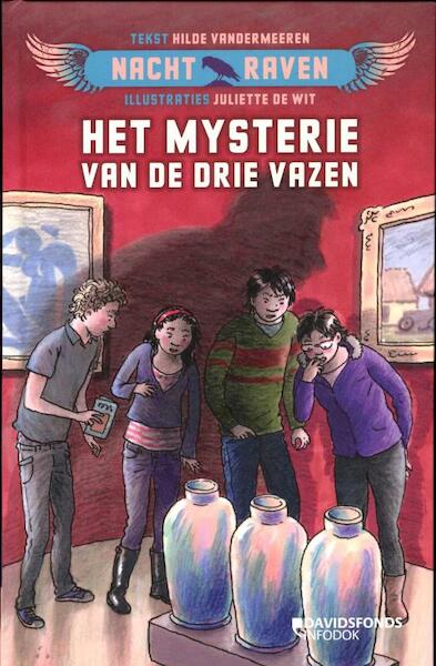 Nachtraven. Het mysterie van de drie vazen - Hilde Vandermeeren (ISBN 9789059084278)