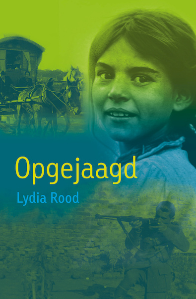 Opgejaagd - Lydia Rood (ISBN 9789025879334)