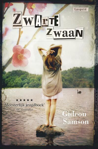 Zwarte zwaan - Gideon Samson (ISBN 9789025861612)