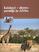 Kalahari dierenparadijs in Afrika