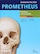Prometheus anatomische atlas 3 Hoofd en zenuwstelsel