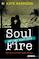Soul fire