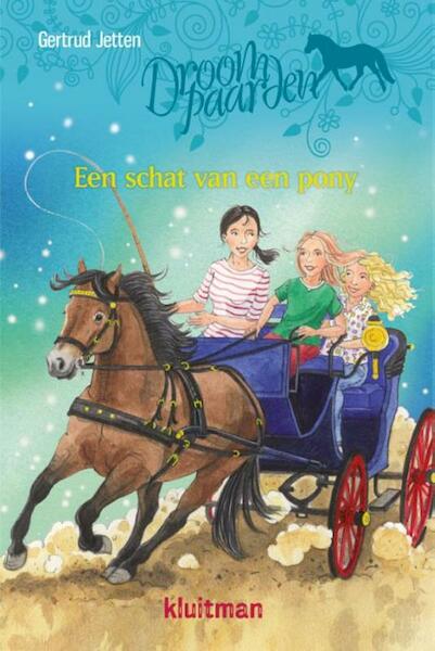 Een schat van een pony - Gertrud Jetten (ISBN 9789020674767)