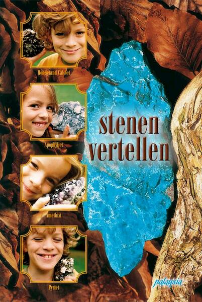 Stenen vertellen - Ursula Dombrowsky (ISBN 9789076541464)