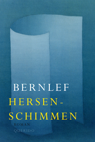 Hersenschimmen - Bernlef (ISBN 9789021470924)