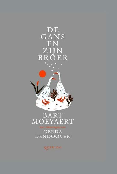 De gans en zijn broer - Bart Moeyaert (ISBN 9789045117409)