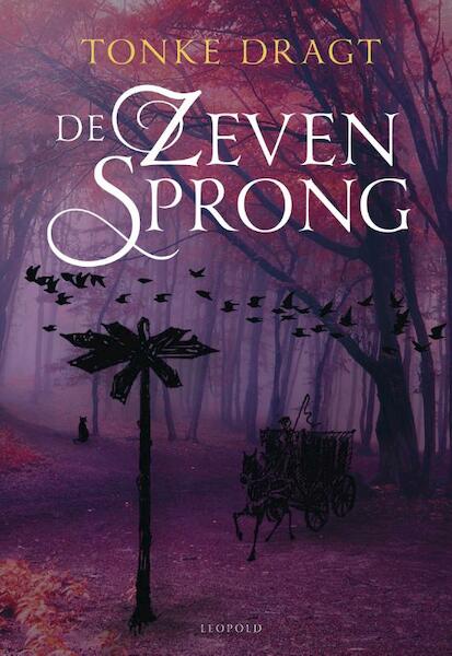 Zevensprong - Tonke Dragt (ISBN 9789025868604)
