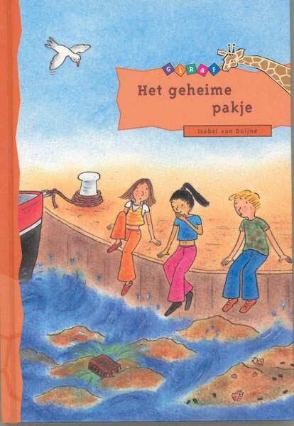 Het geheime pakje - Isabel van Duijne (ISBN 9789043702843)