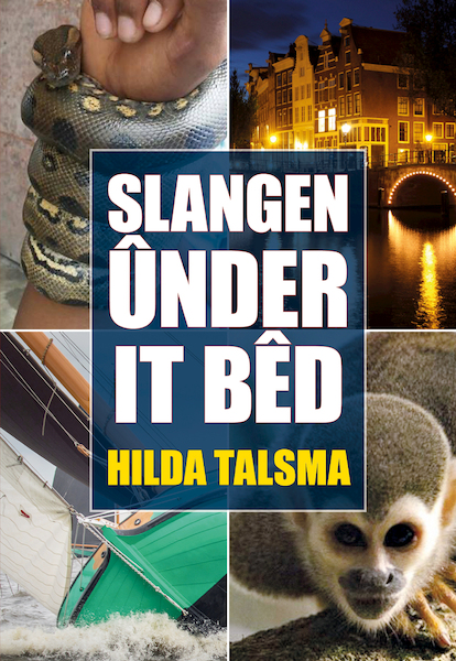 Slangen ûnder it bêd - Hilda Talsma (ISBN 9789089549730)