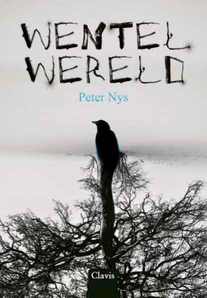 Wentelwereld - Peter Nys (ISBN 9789044818321)