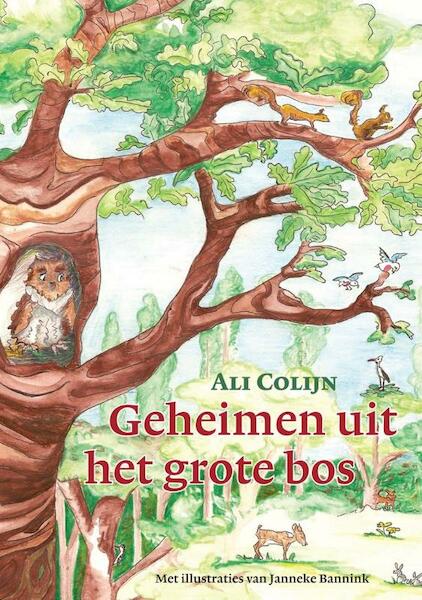 Geheimen uit het grote bos - Ali Colijn (ISBN 9789048422197)