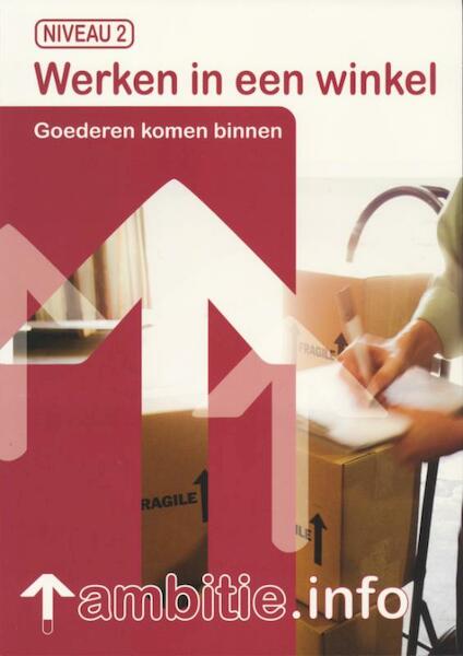 Ambitie.info Werken in de winkel - R. van Midde, L. Kroes (ISBN 9789037205626)