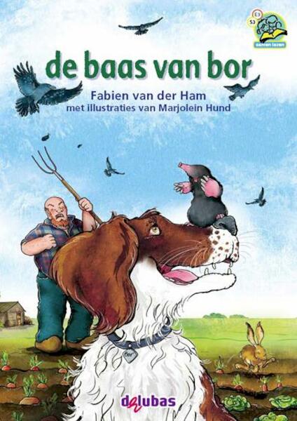 De baas van bor - Fabien van der Ham (ISBN 9789053005958)