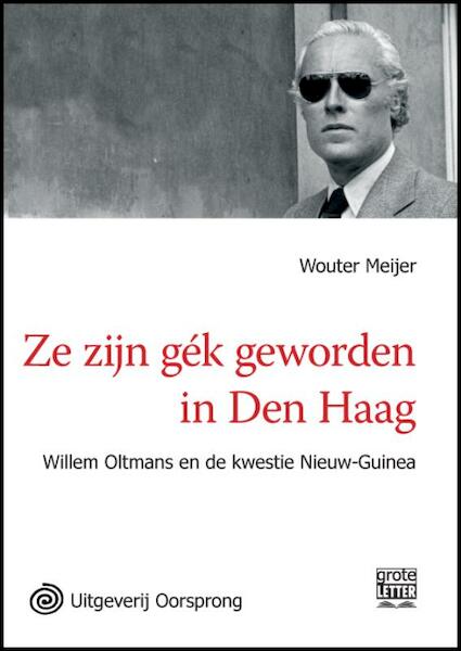 Ze zijn gek geworden in Den Haag - grote letter uitgave - Wouter Meijer (ISBN 9789461010643)