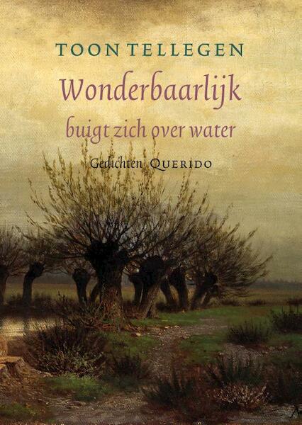 Wonderbaarlijk buigt zich over water - Toon Tellegen (ISBN 9789021403564)