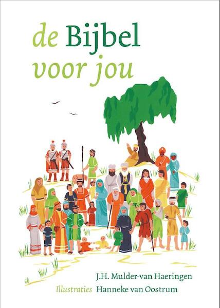 De Bijbel Voor Jou - J.H. Mulder-van Haeringen (ISBN 9789086010905)