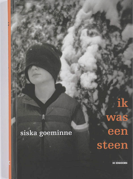 Ik was een steen - S. Goeminne (ISBN 9789058384836)