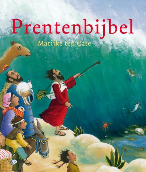 Prentenbijbel - Liesbeth van Binsbergen (ISBN 9789089120069)