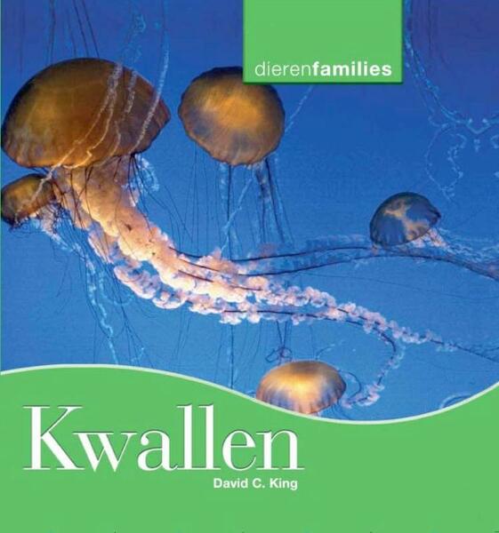 Kwallen - David C. King (ISBN 9789055663101)