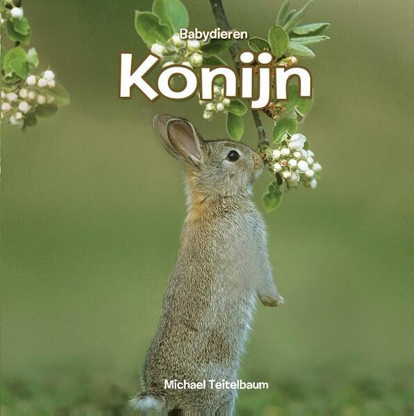 Konijn - Michael Teitelbaum (ISBN 9789055667734)