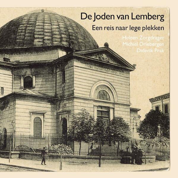 De joden van Lemberg - Heleen Zorgdrager, Michiel Driebergen, Diderik Prak (ISBN 9789462030176)